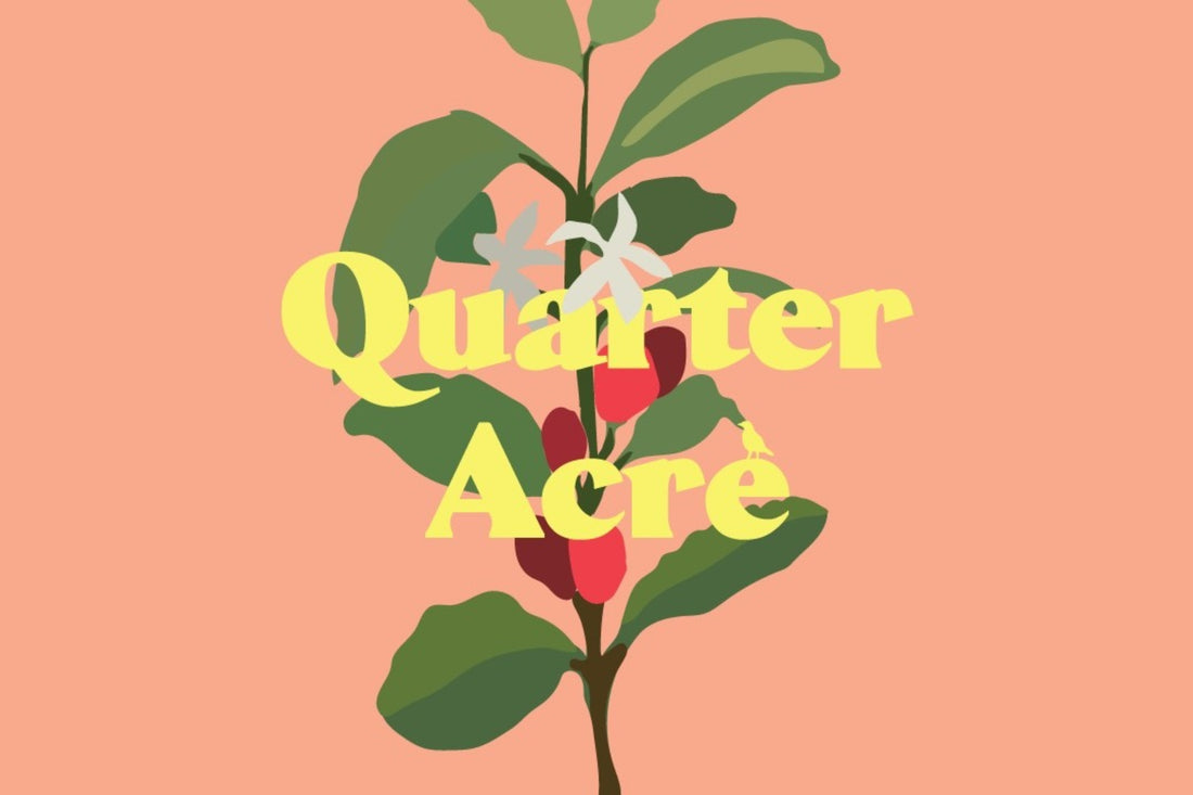 September 2022 - Quarter Acre